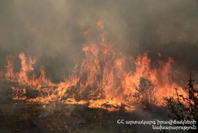 Спасатели потушили пожар в Разданском ущелье