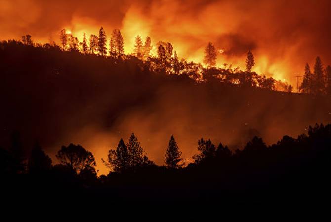 Самый сильный за 20 лет пожар уничтожил более 4 тыс. га леса в Испании