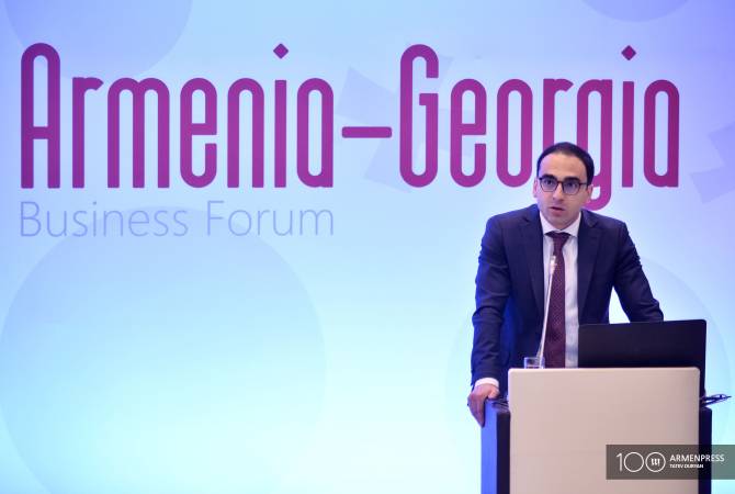 Cooperation results will be visible in short-term period – Deputy PM Avinyan says at Armenian-
Georgian business forum