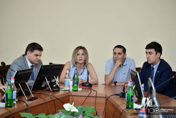 Делегация НС Армении выразила обеспокоенность в связи с заявлением главы МИД 
Польши