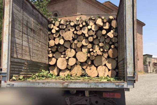 ՀՀ ոստիկանությունը մեկ օրում հայտնաբերել է շուրջ 19 խմ փայտանյութ և 460 պարկ 
փայտածուխ