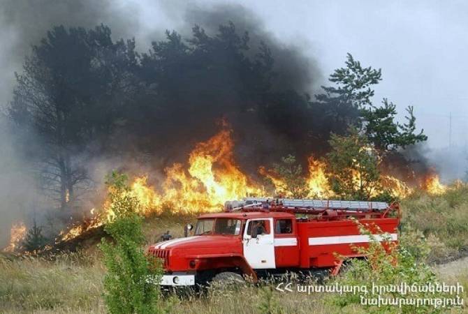 Предпринимаются меры по обнаружению виновных в пожаре в лесу  Цицернакаберда