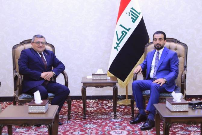 Посол Армении встретился с председателем Палаты представителей Ирака