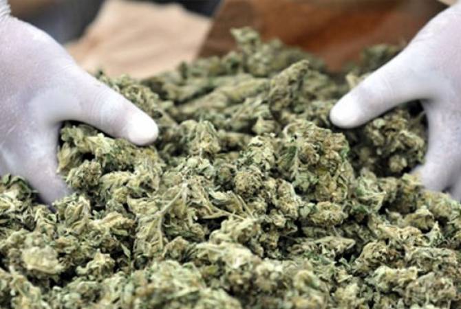 СМИ: на Сицилии изъяли девять тонн марихуаны