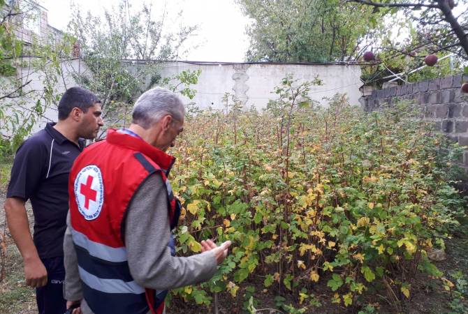 АОКК предоставит гуманитарную помощь семьям, наиболее пострадавшим от града в 
Шираке