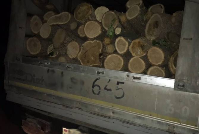  Տեսուչները Վանաձորում կանգնեցրել են 3.2 խմ փայտանյութով բեռնված «Ֆորդ» 
տեսակի ավտոմեքենա