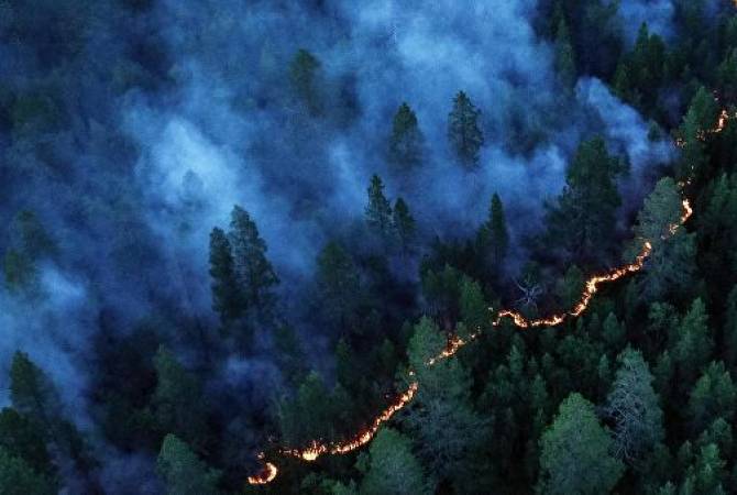 В пяти регионах ввели режим ЧС из-за лесных пожаров