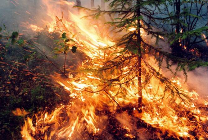 Ռուսաստանում անտառային հրդեհների մակերեսը մեկ օրում ավելացել Է 23 հազար հեկտարով 
