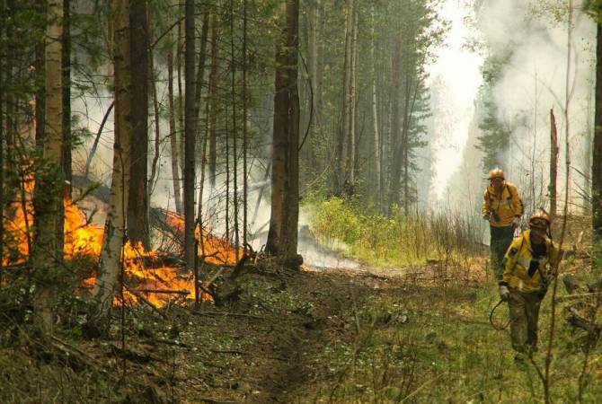ՌԴ Կրասնոյարսկի երկրամասում անտառային հրդեհների մակերեսն ավելացել Է 50 հազար հեկտարով 
