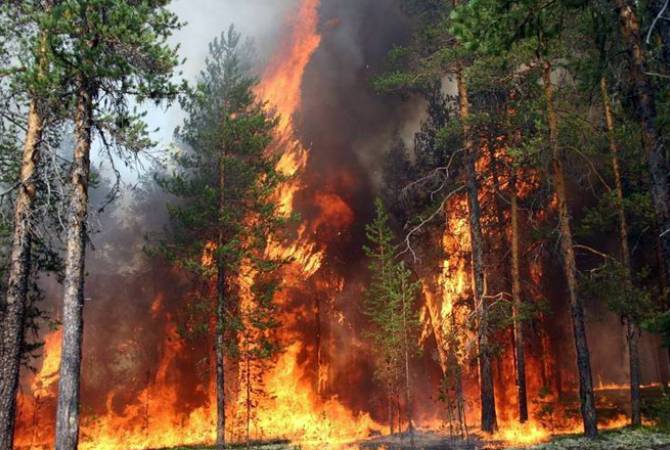 В окрестностях Афин произошел сильный лесной пожар