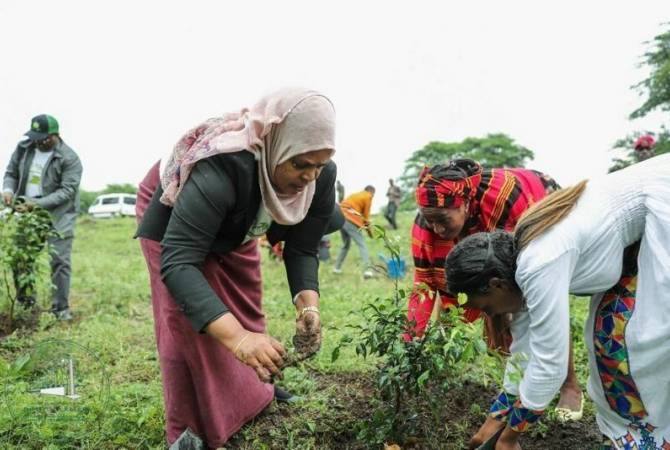 Մեկ տարում չորս միլիարդ ծառ տնկելու Եթովպիայի պլանը գրեթե կատարված Է