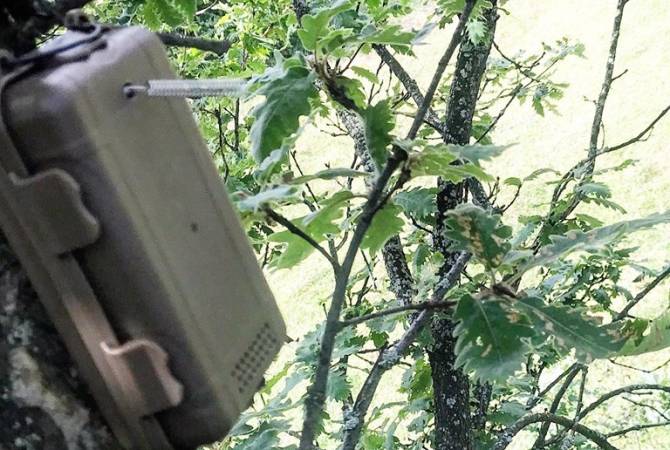Степанаванский лес будет охраняться звукочувствительными сенсорными устройствами