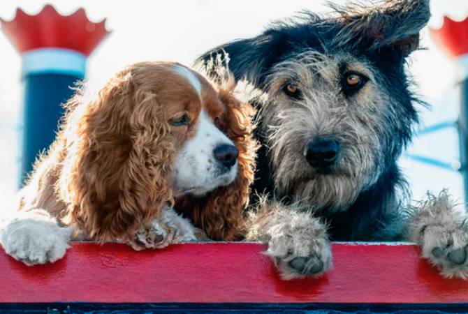 Disney опубликовал фотографию собак из ремейка «Леди и Бродяги»