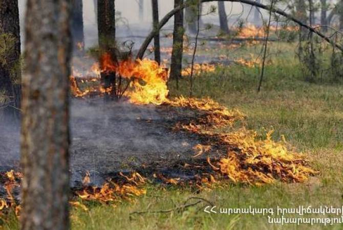 Спасатели продолжают работы по тушению пожара в лесу близ дороги Лехваз – 
Варданидзор