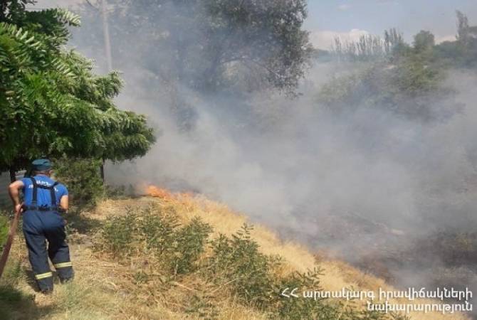 В Гюмри сгорело около 30 га травяного покрытия