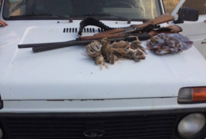 Инспекционный орган обнаружил случай незаконной охоты на перепелок