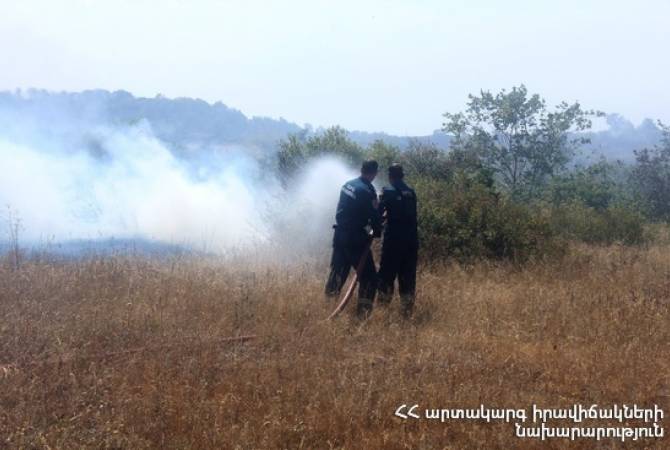 В селе Прошян сгорело около 50 га травяного покрытия