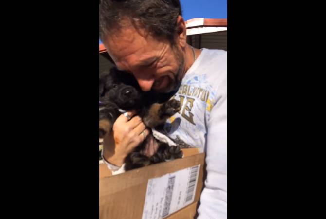 Эмоциональная реакция мужчины на подаренного щенка покорила Сеть – видео

