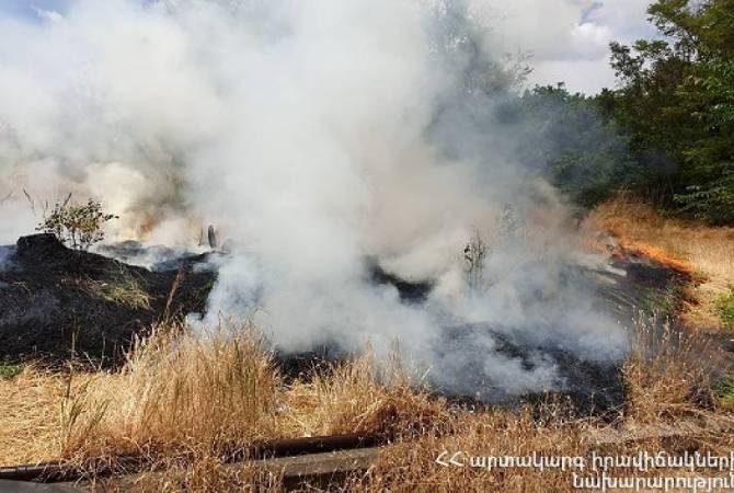 Зарегистрировано 60 пожаров на травяных участках