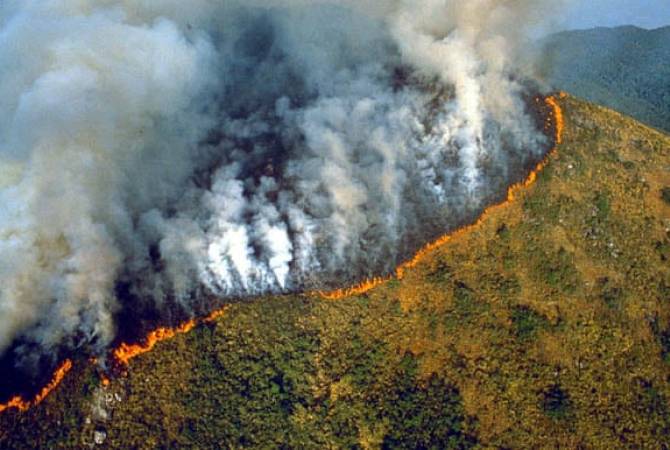 В лесах Амазонии зафиксировали рекордное количество природных пожаров