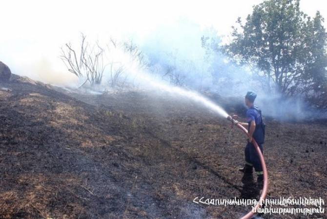 Ոսկեպար գյուղում այրվել է մոտ 10 հա խոտածածկույթ