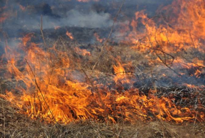 Շիրակ գյուղում այրվել է 40 հա խոտածածկույթ