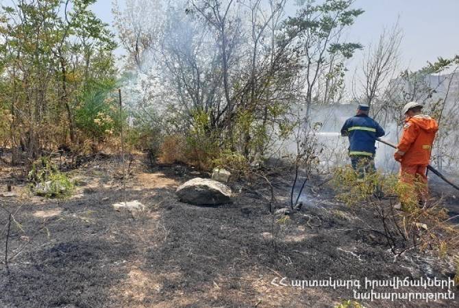 Зарегистрировано 99 пожаров на травяных участках