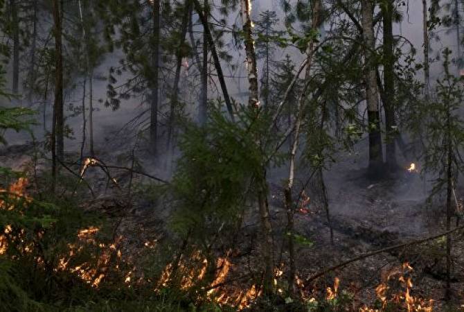 На Дальнем Востоке за сутки сгорело свыше 212,5 тысячи гектаров леса
