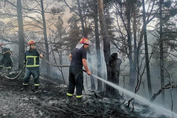Борьба с пожаром в лесу на востоке Грузии продолжается второй день