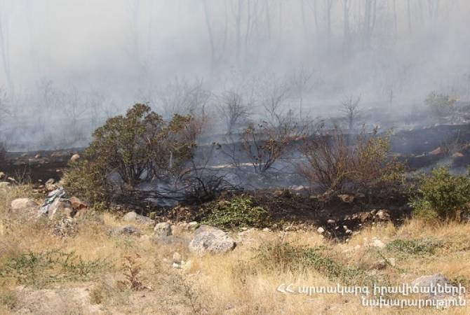 Пожар на дороге Прошян – Сасуник: сгорело 50 га травяного покрытия