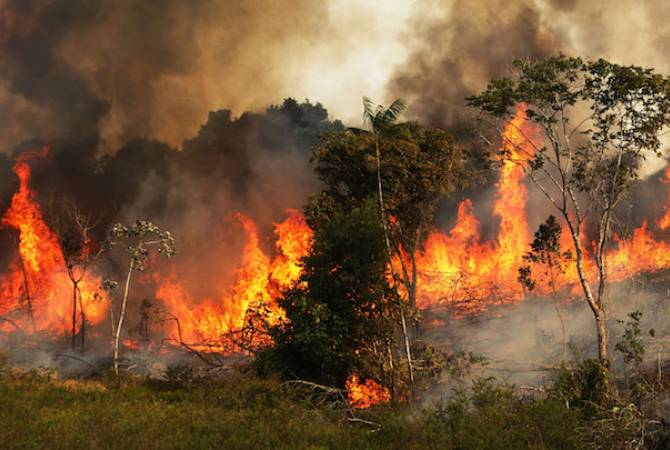 Ирландия пригрозила заблокировать соглашение ЕС и МЕРКОСУР из-за лесных пожаров в 
Амазонии