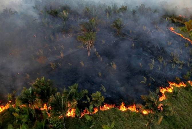 СМИ: власти Бразилии могут привлечь армию для тушения пожаров в Амазонии