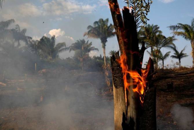 Ամազոնիայում հրդեհների հետեւանքով օգոստոսին մթնոլորտ Է լցվել 255 մլն տոննա CO2
