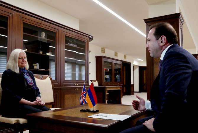  Министр обороны принял посла Великобритании в Армении

 