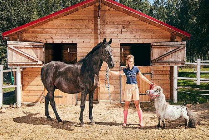 Լեհաստանում ապրող ձին ամենափոքրն Է ճանաչվել աշխարհում 
