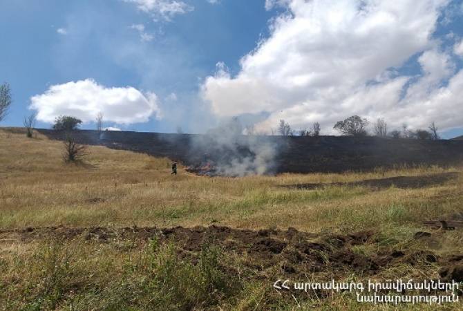 Зарегистрировано 19 пожаров на травяных участках