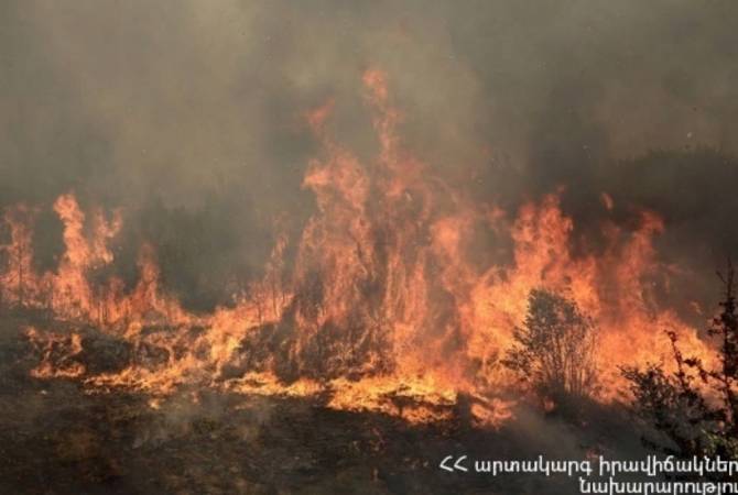 В Эчмиадзине сгорело 3 га травяного участка