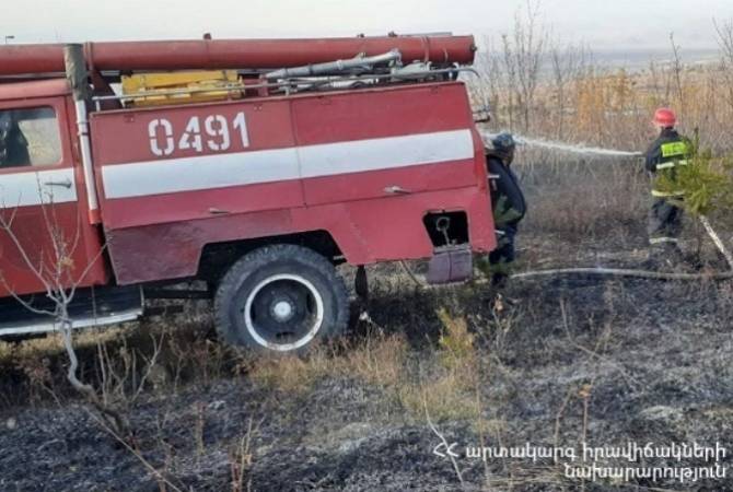  Спасатели потушили пожары  на  покрытых растительностью участках 