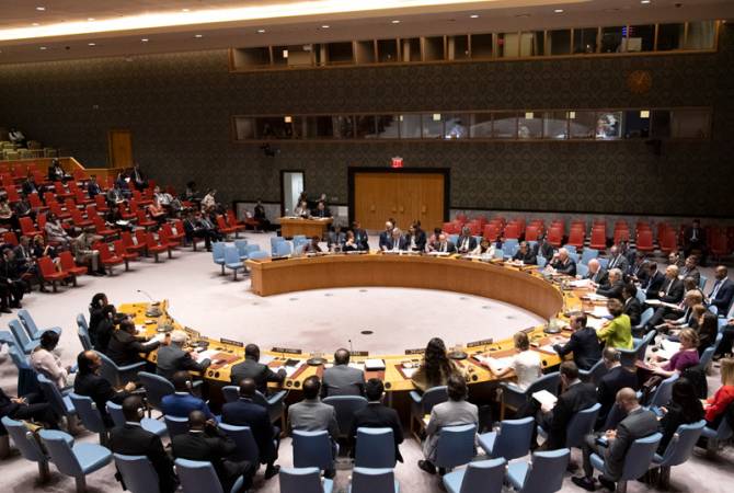 Пять европейских стран в Совбеза ООН призвали Турцию остановить операцию в Сирии