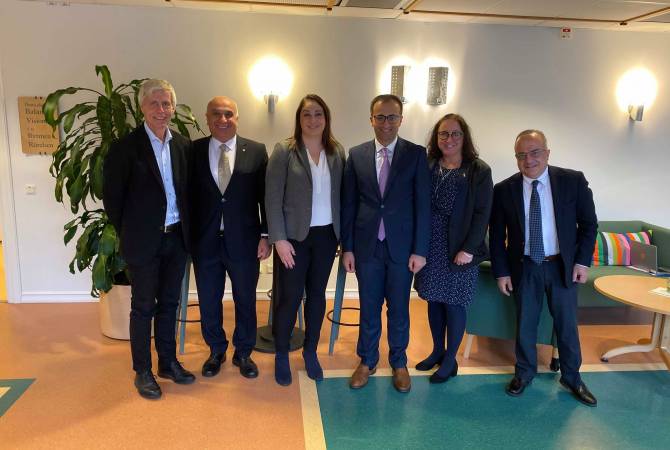 Armenia’s healthcare minister in Sweden on cognitive visit