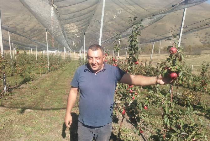 Մարտունի գյուղի խնձորի ինտենսիվ այգին տվել է իր առաջին բերքը