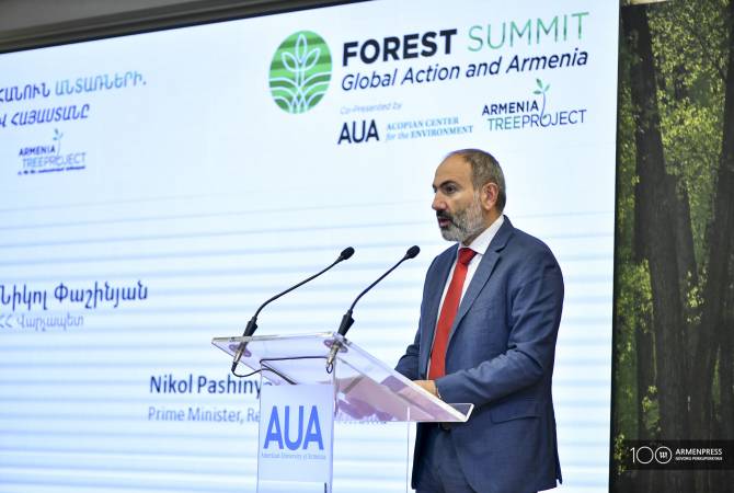 Сохранение и восстановление лесов Пашинян считает приоритетным вопросом 
правительства

