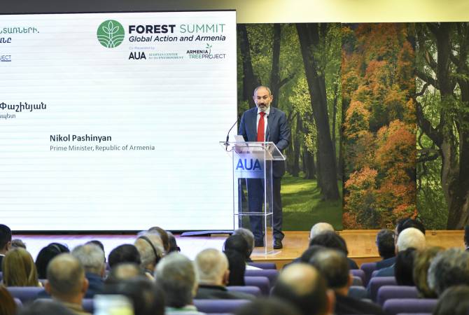  Nikol Pashinyan a participé au  Forum « Sommet pour les forêts. Efforts mondiaux et Arménie 
»