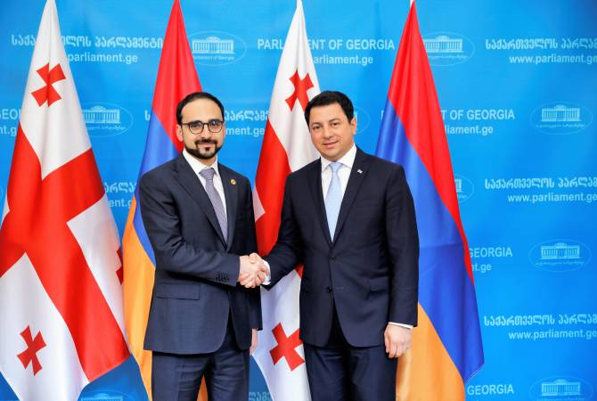 Armenian Deputy PM meets with Georgian Speaker of Parliament