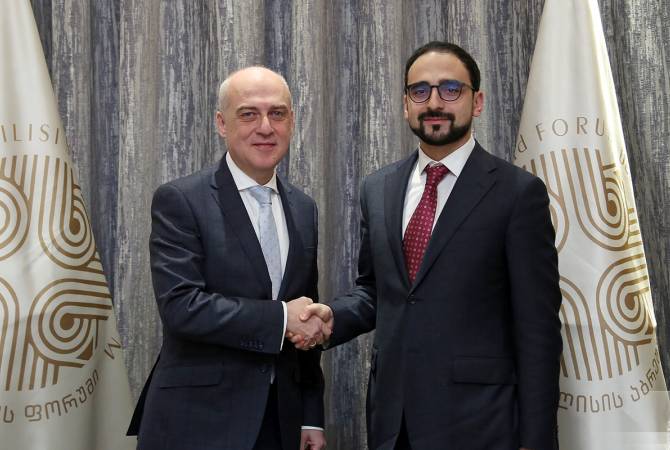 Тигран Авинян встретился с министром иностранных дел Грузии