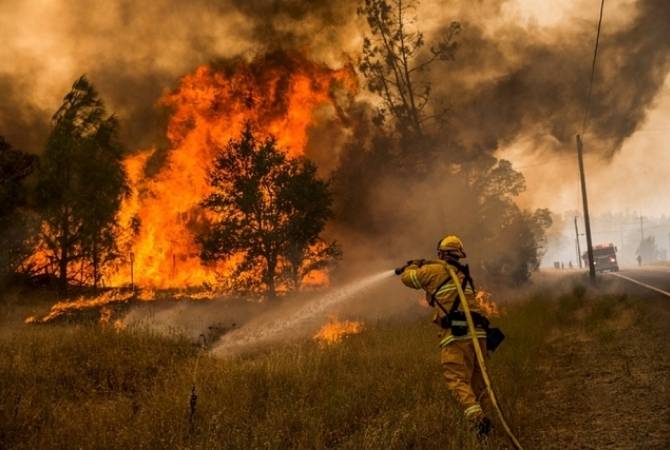  NBC: не менее 50 тыс. человек эвакуируют из-за лесных пожаров в Калифорнии 