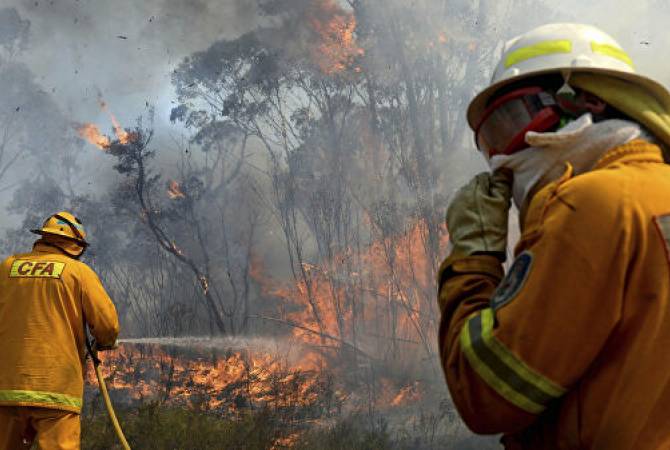 В Австралии два человека погибли из-за лесных пожаров