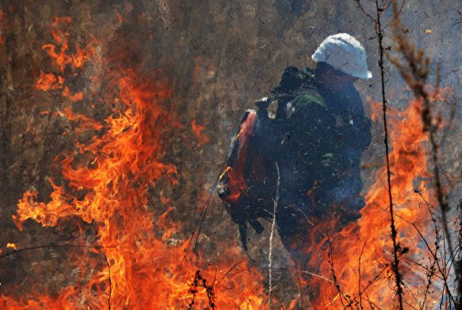 Абхазия обратилась к России за помощью в тушении лесных пожаров