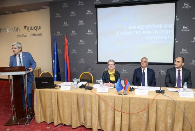 Мгер Григорян принял участие в мероприятии, организованном совместно с делегацией 
ЕС

