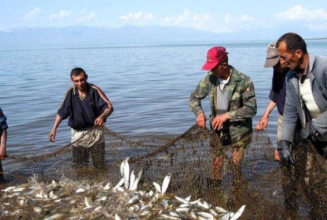 Правительство установило порядок рыболовства и ловли раков в озере Севан

